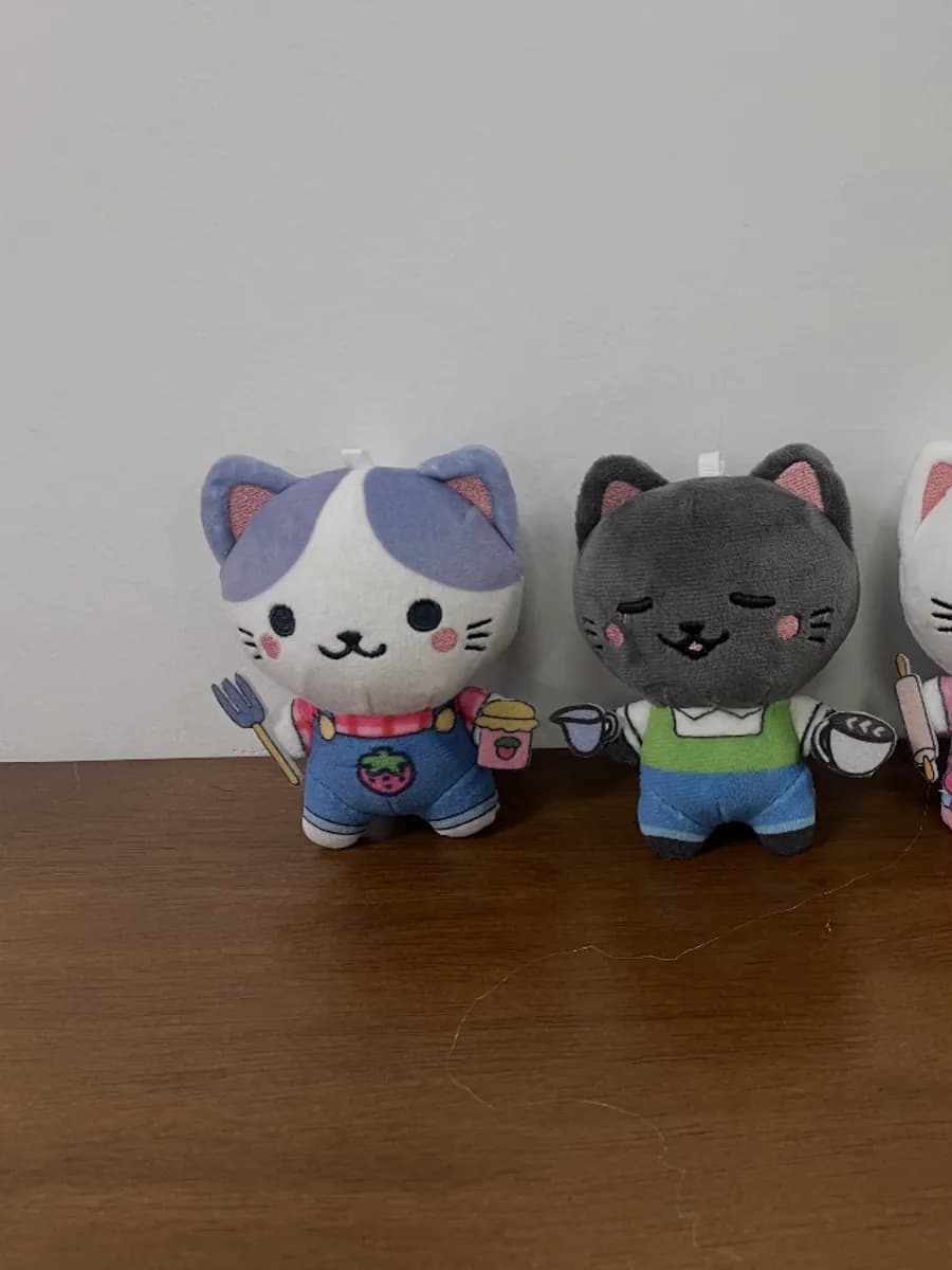 Collectible cat doll series in four outfits